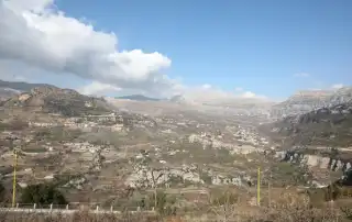 الغابات وافقا ولاسا