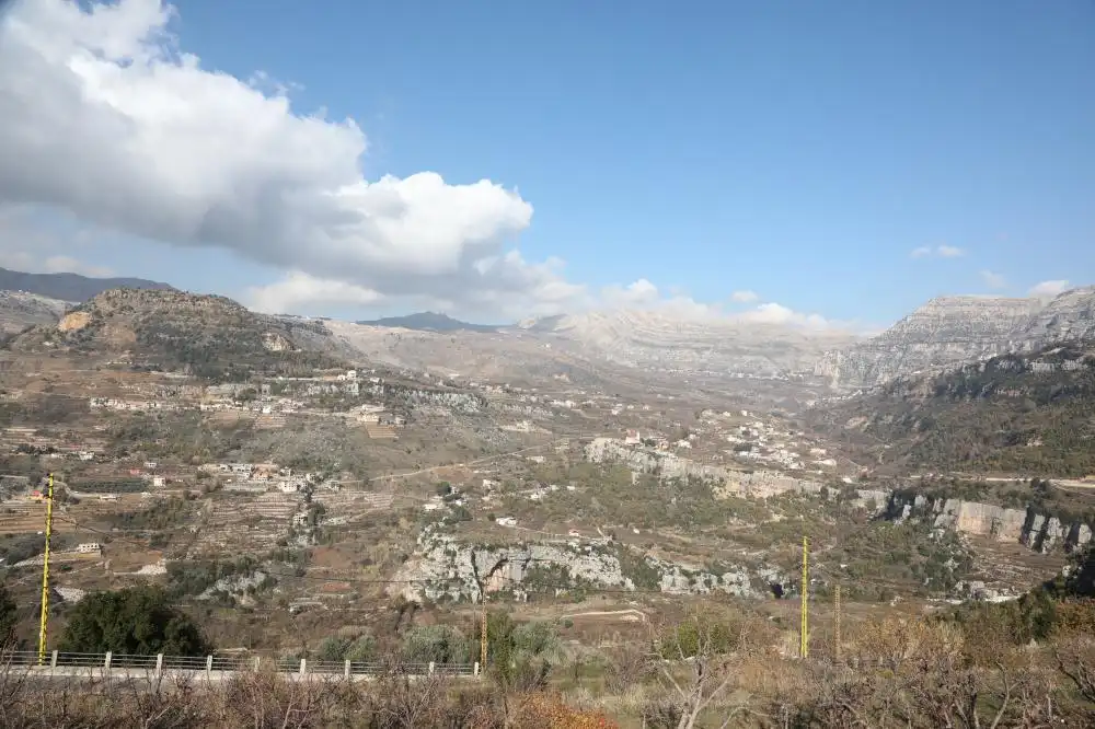 الغابات وافقا ولاسا الغابات وافقا ولاسا