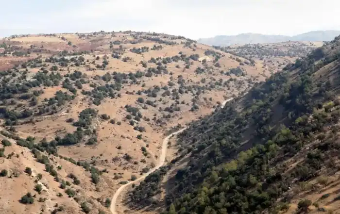 بين لبنان وسوريا حدود