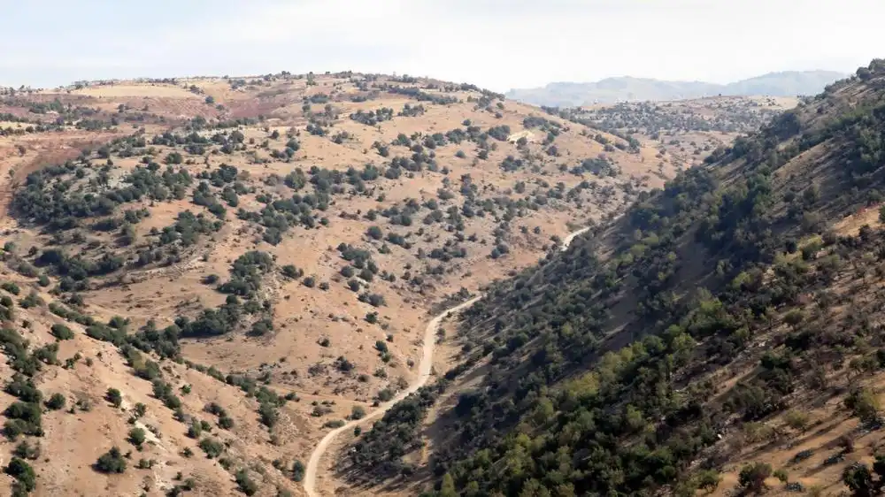 بين لبنان وسوريا حدود بين لبنان وسوريا حدود