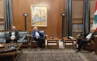 جنبلاط بري 1