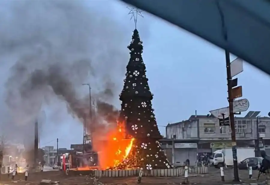 شجرة الميلاد