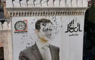 صورة الاسد مشوهة
