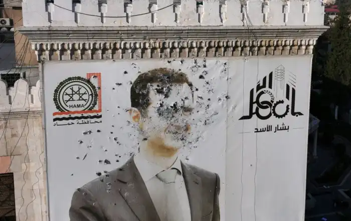 صورة الاسد مشوهة