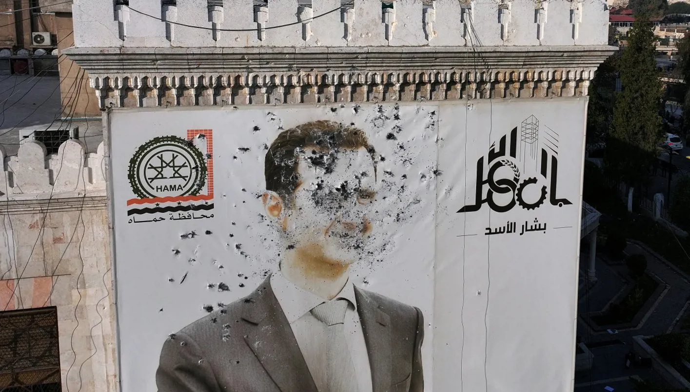 صورة الاسد مشوهة صورة الاسد مشوهة