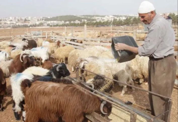 الى مربّي المواشي، نداء