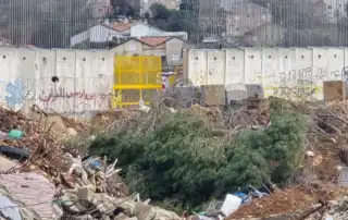 الجنوب حدود1