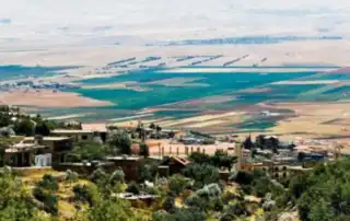 بلدة القصر