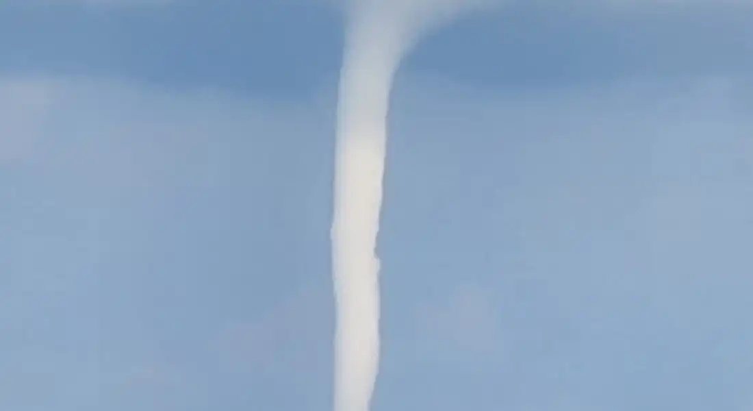 تنين البحر