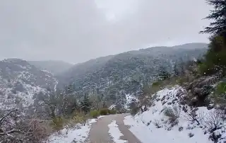 عاليه الشوف ثلج