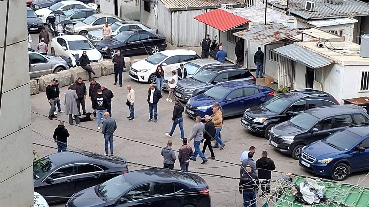 داخل مرفأ بيروت، العثور على عدد من الكلاب الميتة