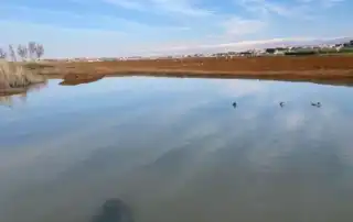 الليطاني 3