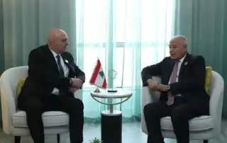 عون ابو الغيط