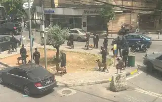 الضاحية حزب الله1