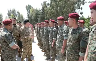هيكل الجيش الجنوب