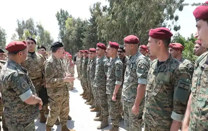 هيكل الجيش الجنوب