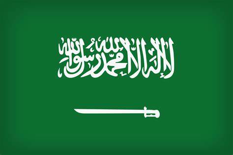 البيت الأبيض: السعودية ستستثمر 600 مليار دولار في أميركا