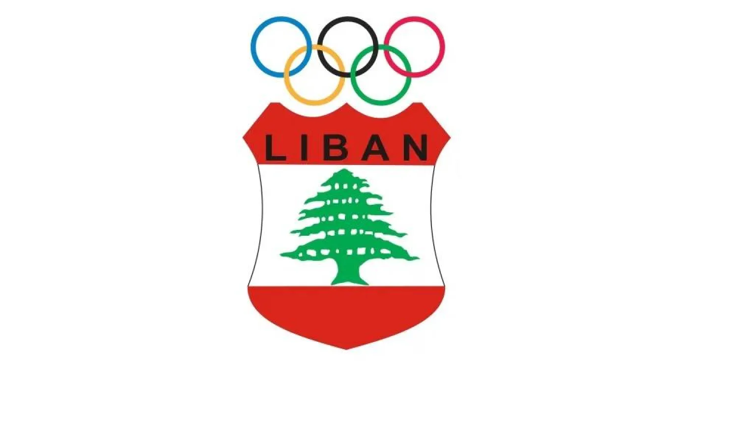 اللجنة الاولمبية لبنان انبثاق لجنتين أولمبيتين في لبنان نتيجة انقسام رياضي حاد