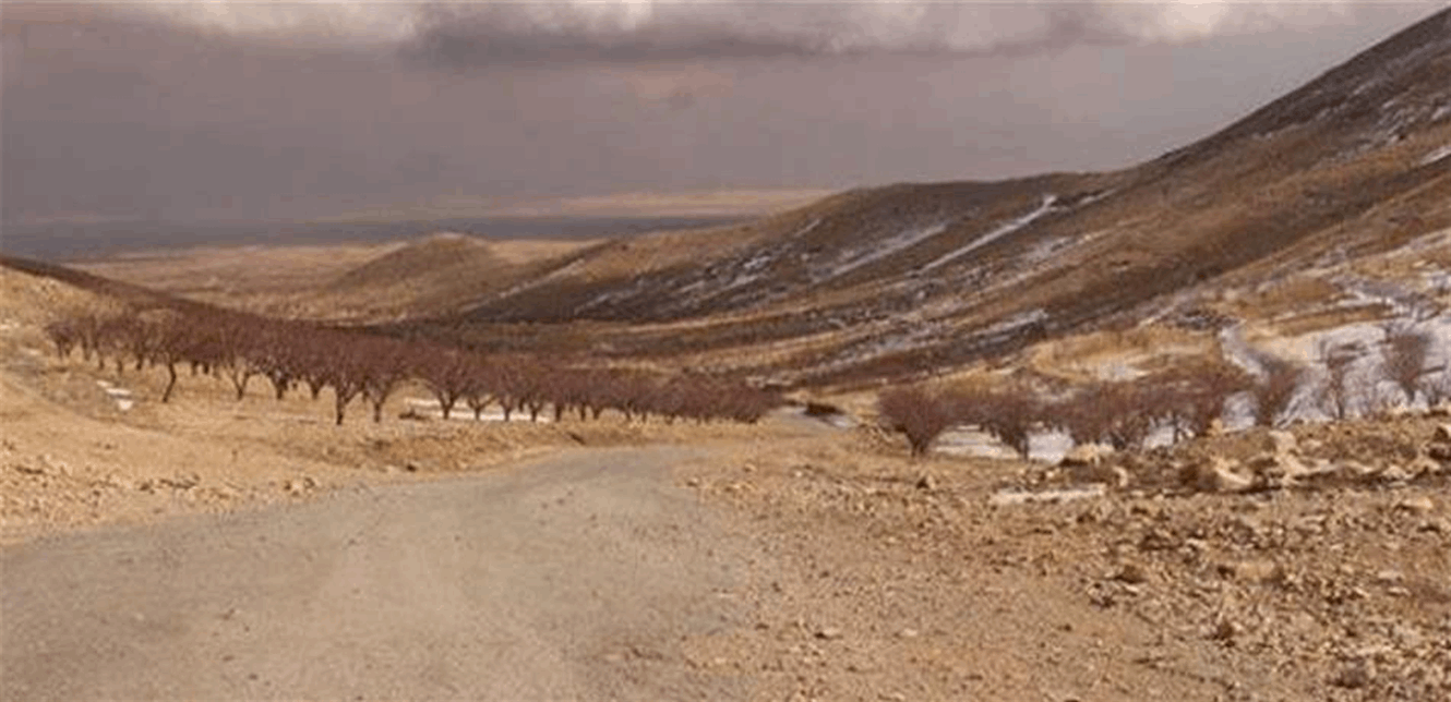 عرسال العثور على مقبرة جماعيّة في عرسال