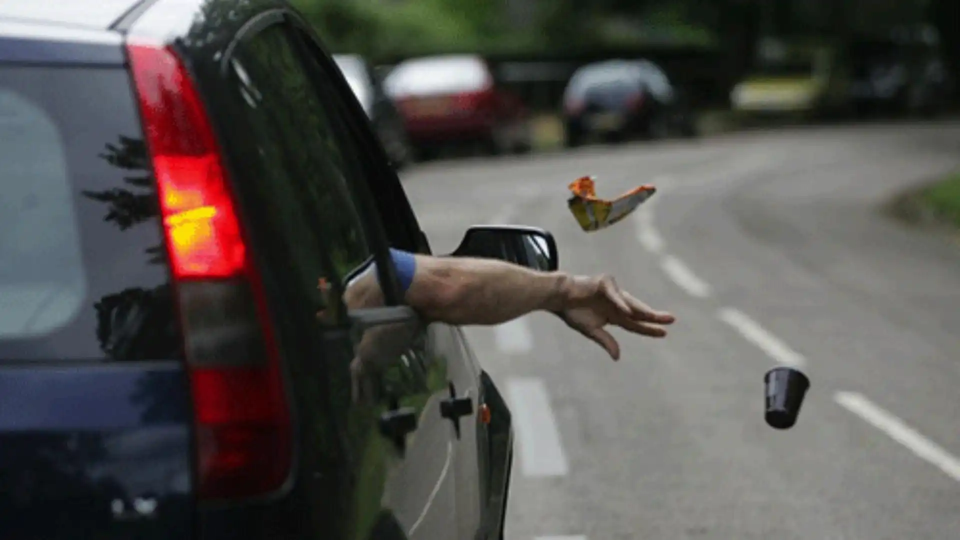 نفايات سيارة طريق