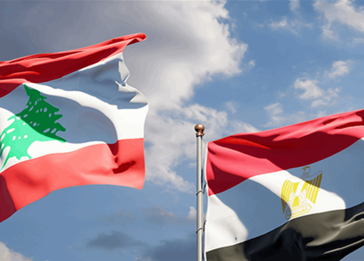 مطالب وزير الخارجية المصرية من اسرائيل