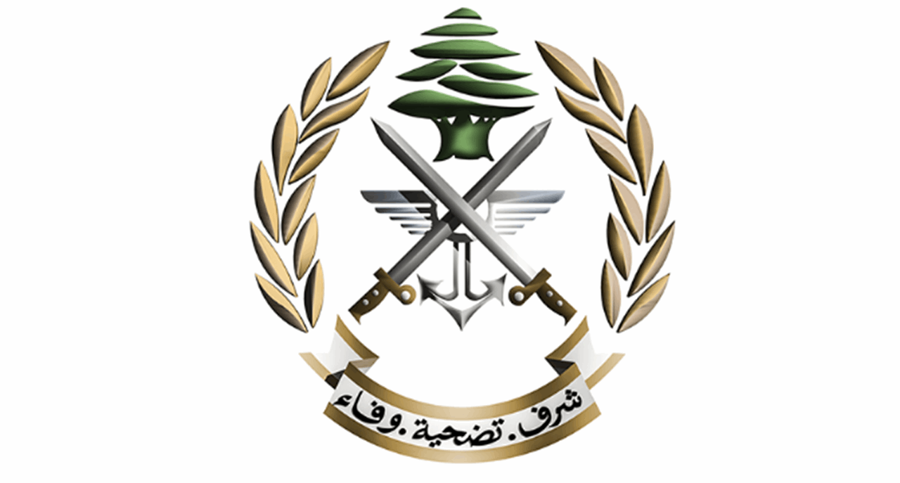 القاء القبض على سوريين مسلحين