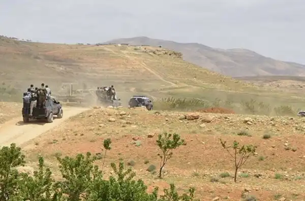 IMG_4650-600×396 (1)