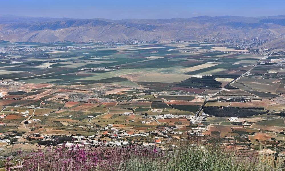 أراضٍ شاسعة تعود إلى أهلها والمخيّمات استثناء لن يدوم