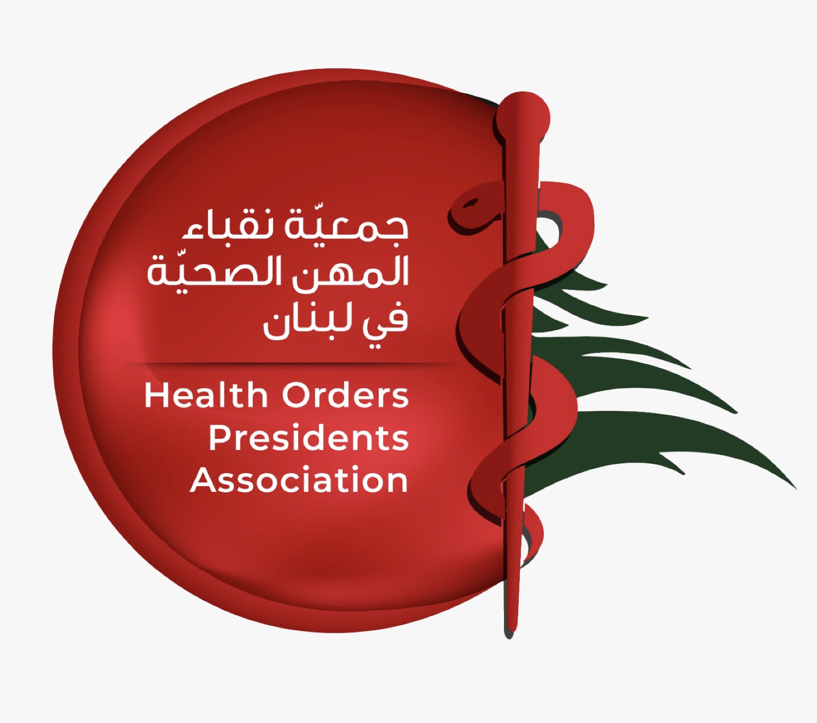 بخّاش: الجيش فقط حامي الوطن
