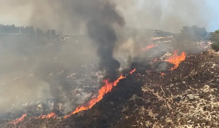 حريق الجميلية