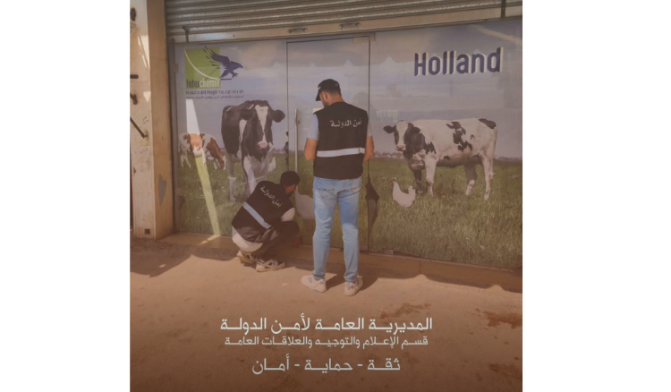 أمن الدولة تضبط 950 صنفًا من الأدوية المهرّبة في البقاع