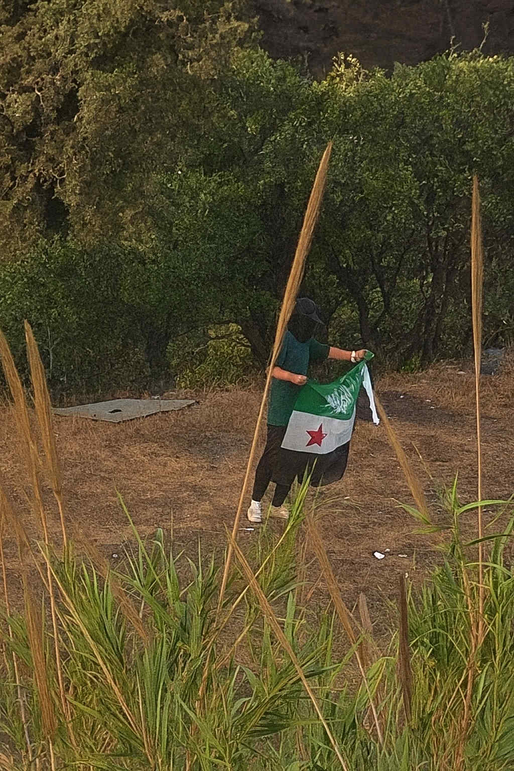 بالصورة- ملثّمون في المنصوريّة يحملون أعلاماً سوريّة