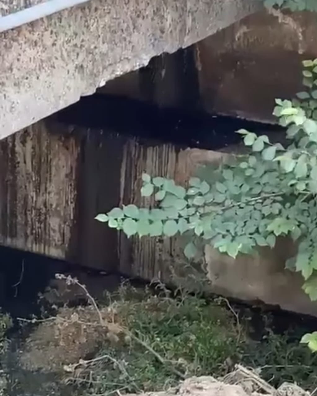 تسرّب مياه آسنة في مجرى نهر البردوني