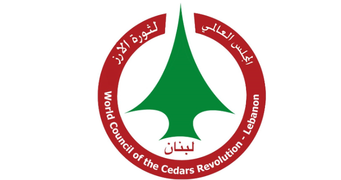 قرارٌ ضبابي، المجلس العالمي لثورة الأرز يعلّق على خطّة جمع السلاح