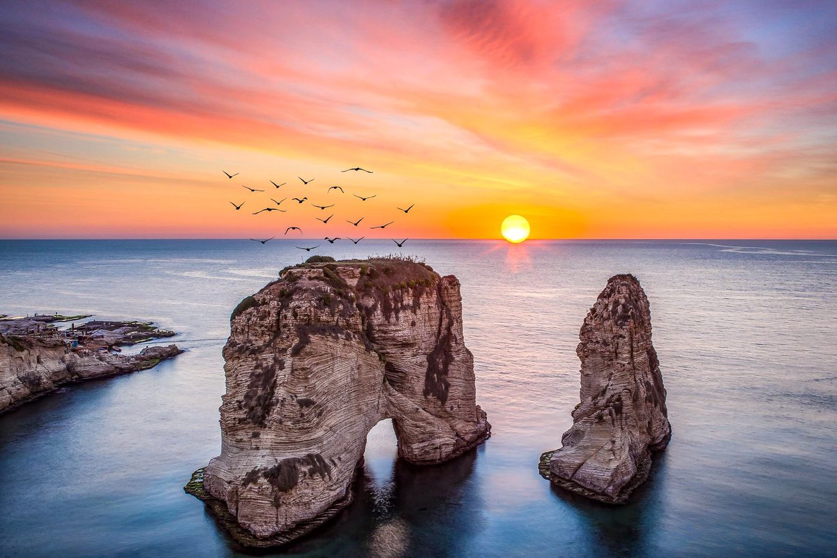 الروشة3 خط الروشة – الرياض