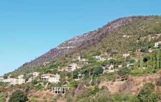 رشميا
