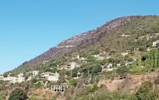 رشميا
