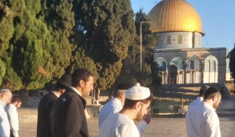 مستعمرون إقتحموا المسجد الأقصى