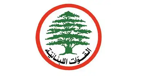 القوات اللبنانية بالصور- شعارات ضدّ السلاح.. وقفة “قوّاتية” أثناء مرور البابا