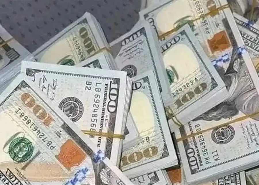 دولارات3 دولارات3