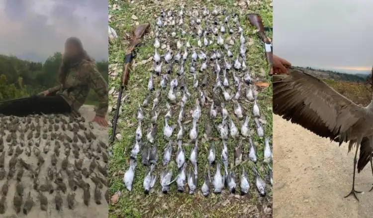 صيد غير شرعي