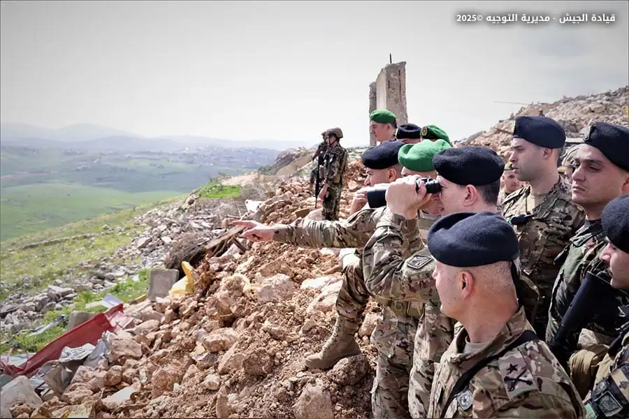 هيكل فيي الجنوب