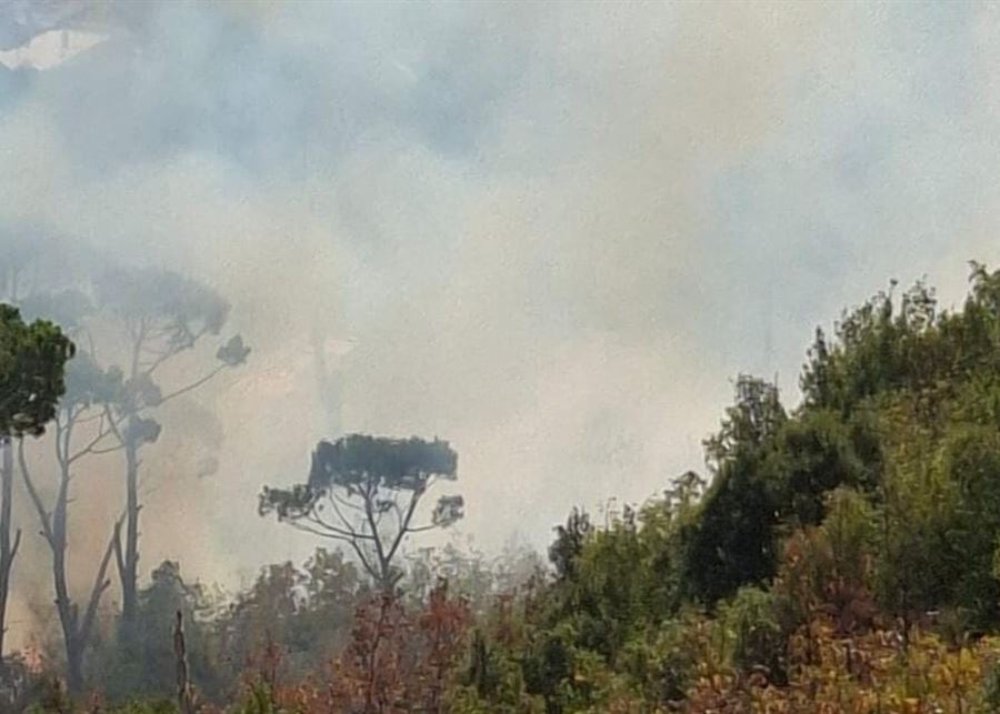 بالصورة – حريق كبير في احراج بدنايل يقترب من المنازل