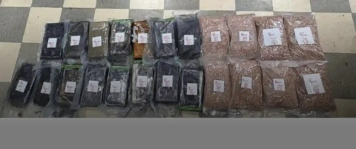 سيّارة محمّلة بالمخدّرات… من أوروبا إلى لبنان