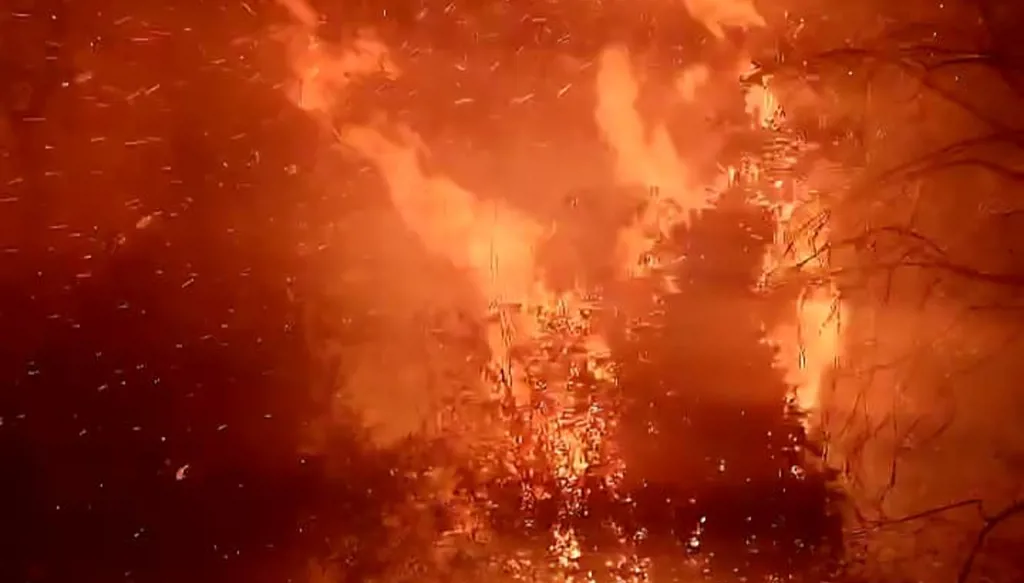 IMG_4503 بالفيديو والصور- حريق كبير في أحراج عندقت – عكار… وعمليات الإطفاء مستمرة