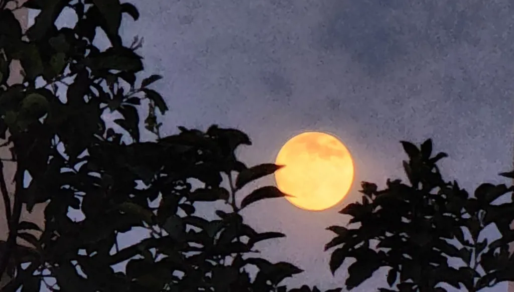 بالصور – أكبر قمر عملاق في ٢٠٢٥ يزيّن سماء الأربعاء