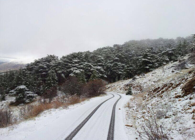 الثلوج عيناتا الارز بالفيديو- مشهد الثلوج في عيناتا الأرز
