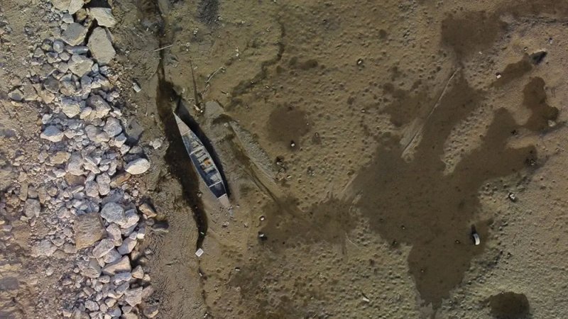 كارثة بيئيّة في العراق.. الأسماك والطيور اختفت