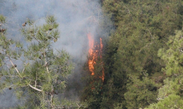 حريق حريق شحيم يقترب من المنازل ومناشدة من الأهالي
