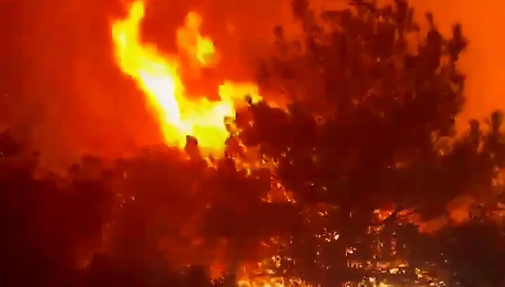 حريق8 بالفيديو: حريق هائل يلتهم أحراج السنديان في شدرا… وشبهات بافتعاله من قبل مجهولين